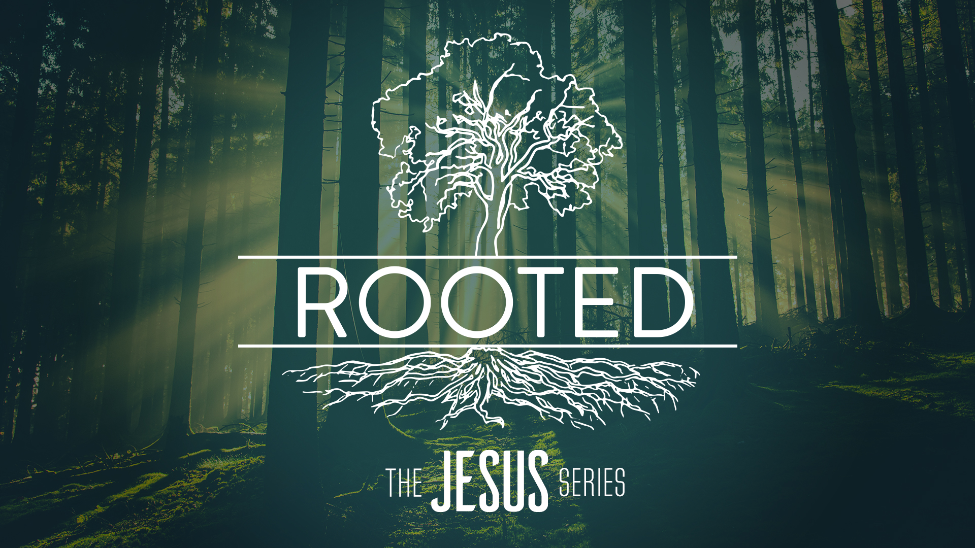 Rooted in Deep Soil